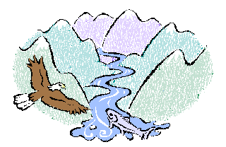 Bird and Fish