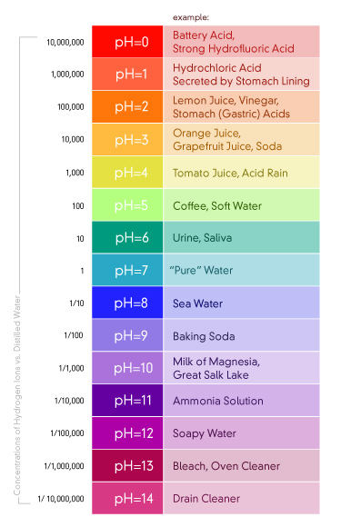 Ethanoic acid ph